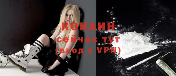 прущие грибы Заволжск