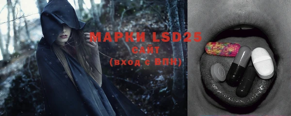 прущие грибы Заволжск