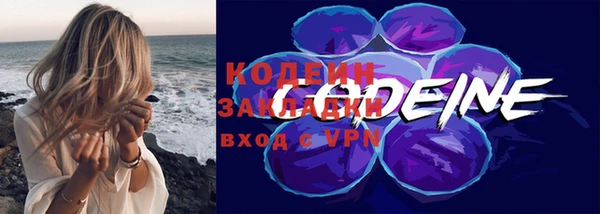 хмурый Заводоуковск