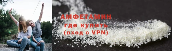 прущие грибы Заволжск