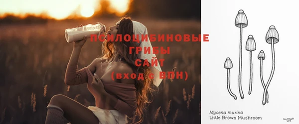прущие грибы Заволжск