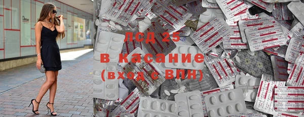прущие грибы Заволжск