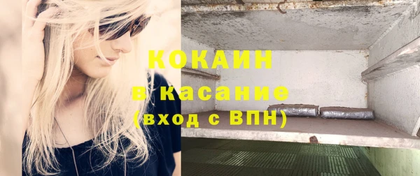 прущие грибы Заволжск