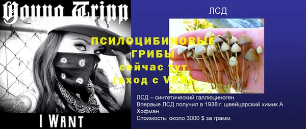 прущие грибы Заволжск