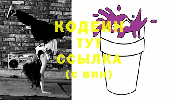 прущие грибы Заволжск