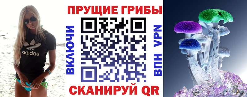 Купить  Ирбит  Псилоцибиновые грибы Magic Shrooms 